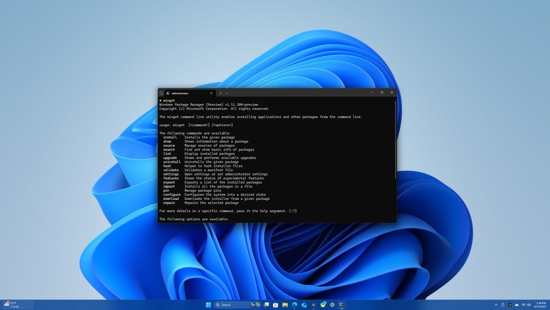 Master Windows Package Manager (Winget): Simplify Microsoft Store App and Game Installation on Windows 11 via Command Line